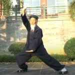 八部金刚功 张至顺