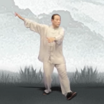 五禽戏 虞定海